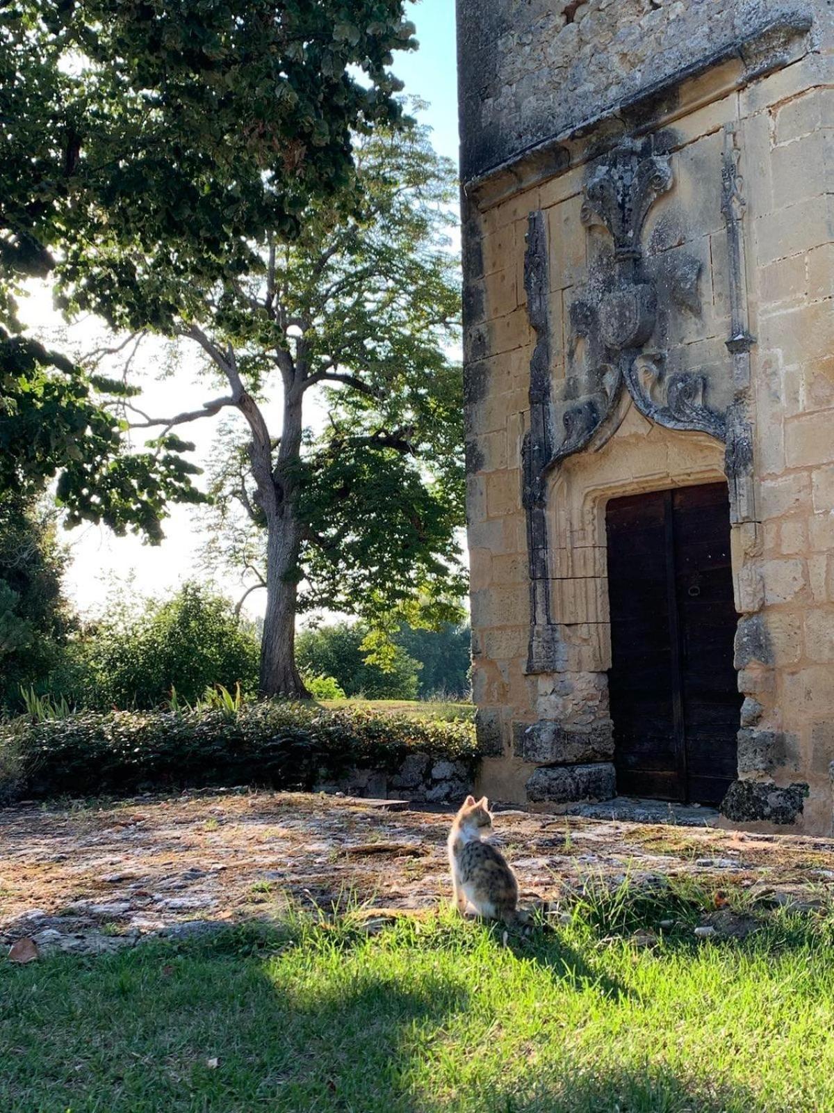 Chateau De Monsac Exterior foto